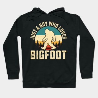 Just a boy who loves bigfoot Hoodie